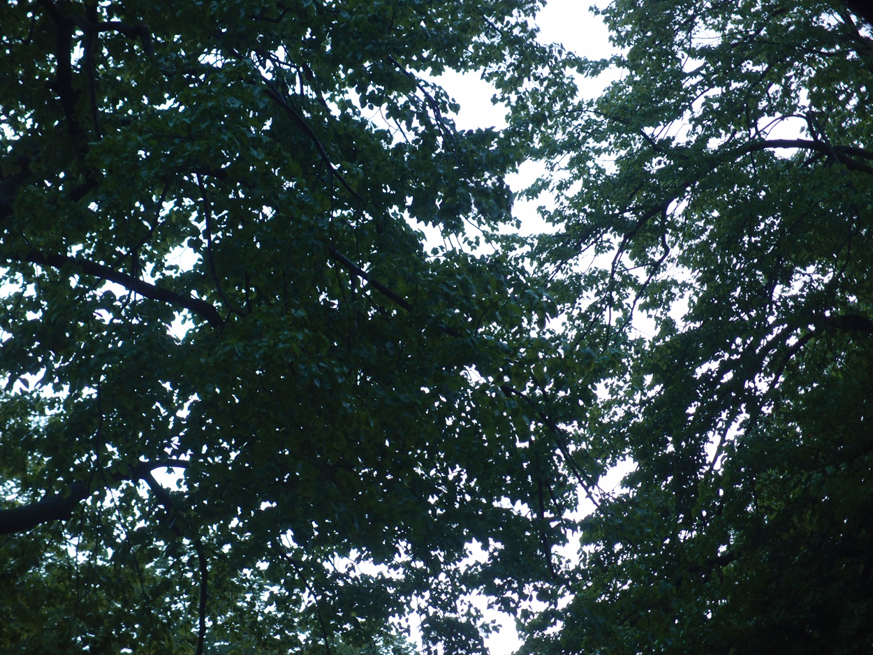 2020-05-01 'sand' Remix Teil 12 (Finale, 2te Reprise + Aufnahme Tonband) (Audio + Video)